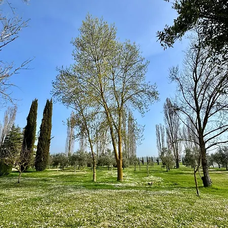 Podere Raffaello Montepulciano Stazione