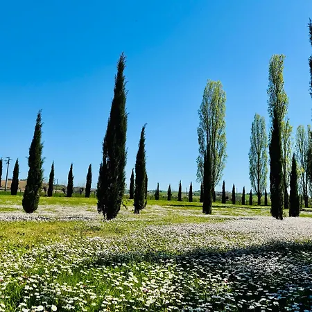 Podere Raffaello Montepulciano Stazione